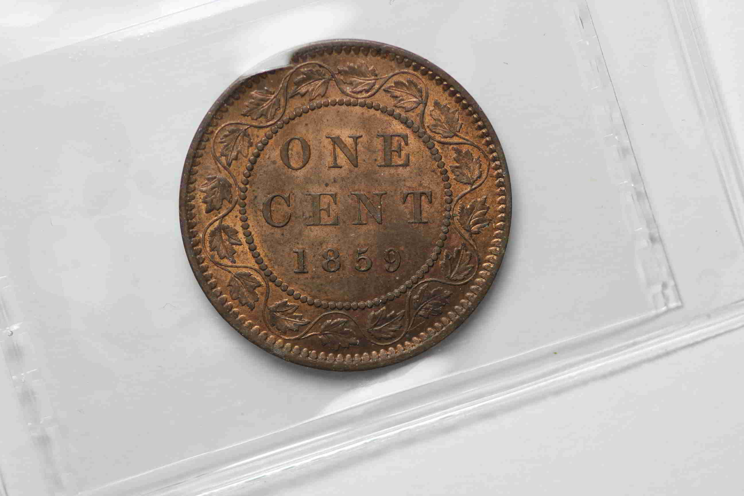 Coins-Back-From-ICCS