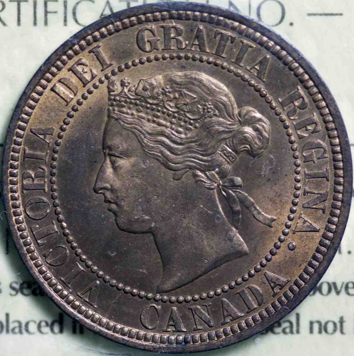 1881-Spur-At-Saskatoon-Show