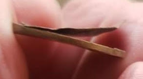 1972-Lamination-Error-One-Cent