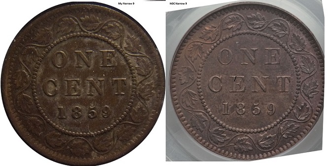 Ngc,-Narrow,-Normal,-Wide-9-Large-Cent