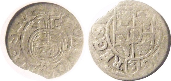 Silver-Hammereds-Any-Idea-What-They-Are?