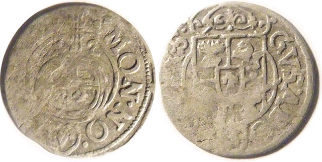 Silver-Hammereds-Any-Idea-What-They-Are?