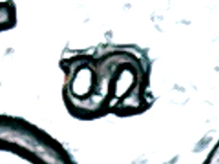1943-S-Steel-S/S-REV-S/D?