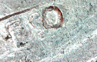 1994-D-Nickel-Has-Two-Mint-Marks?