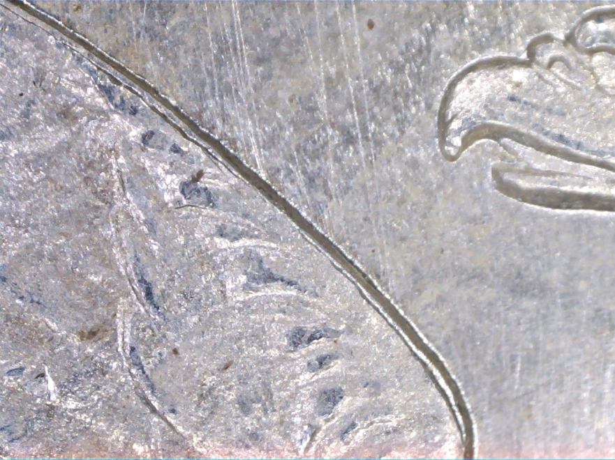 1881-S-Morgan-Dollar-VAM-ID-Help-Needed-Please