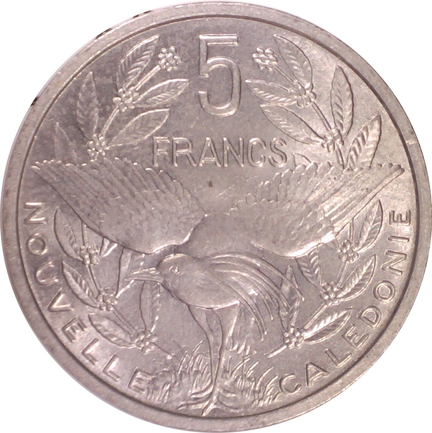 Post-Your-Bird-Coins