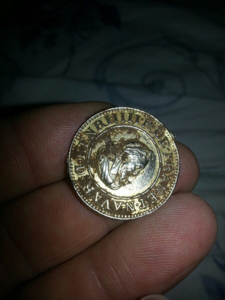 A-Rare-Ecu-D'or?-Please-Help-To-Identify