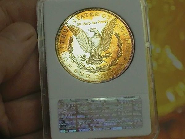 Grading-A-1880-S-Morgan-Dollar.-You-Vs-Seller