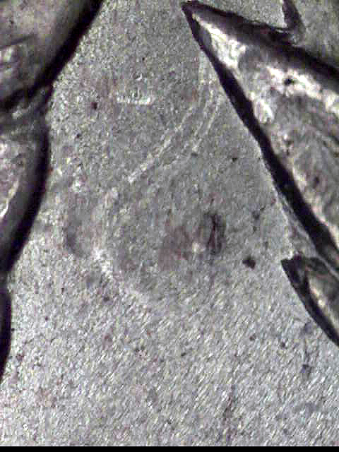 1921 P VAM 3B2 Detailed Die Marker Image 1921 P VAM 3B2 Detailed Die Marker Image