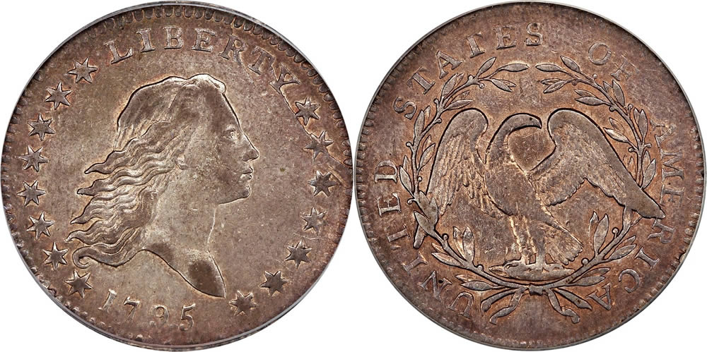1795 Flowing Hair Half Dollar 